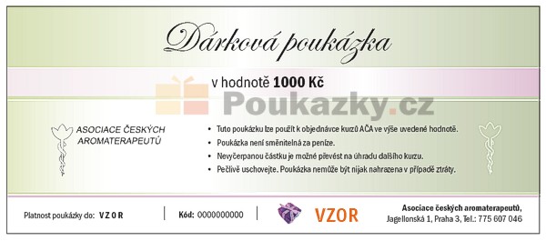 Poukzka na kurzy AA 1000 K